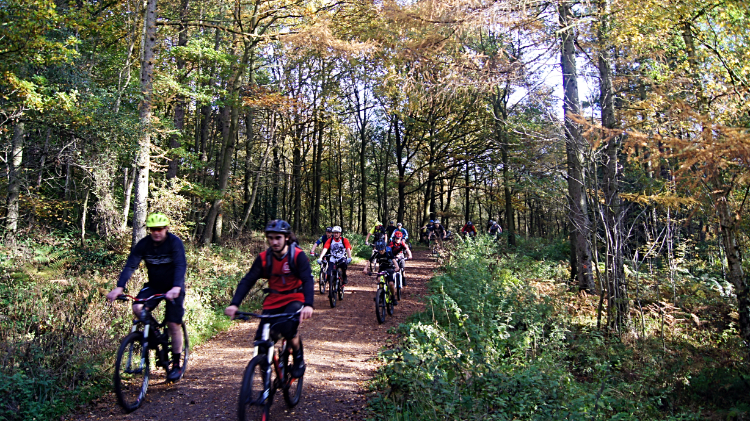 Cyclists in Wharncliffe Wood