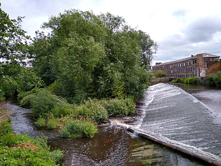 Weir in the River Don at Rutland Road Bridge
