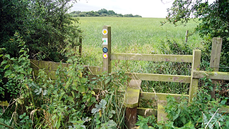 The first untended stile
