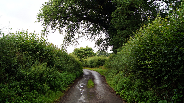 Lane leading to Hadnall