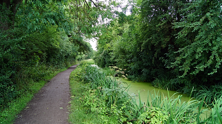 Walking alongside Shrewsbury Canal