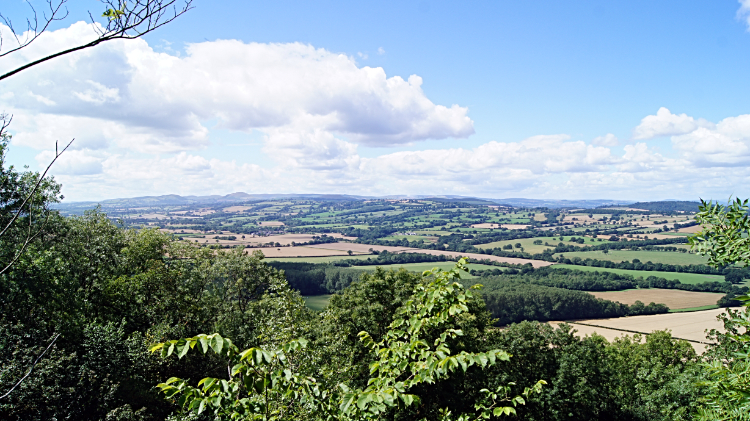 The view north-west from Wenlock Edge