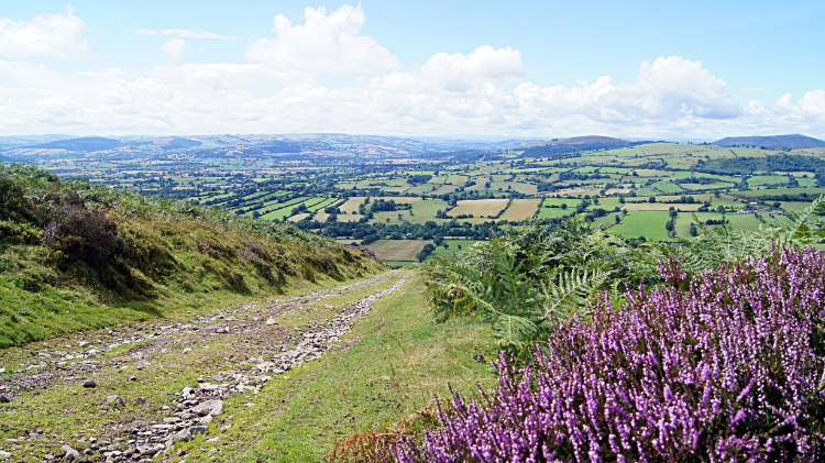 The view west from the Long Mynd
