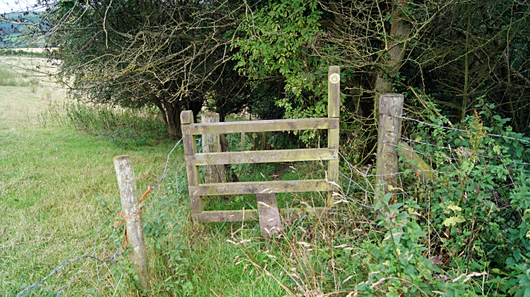 Stile leading into thicket