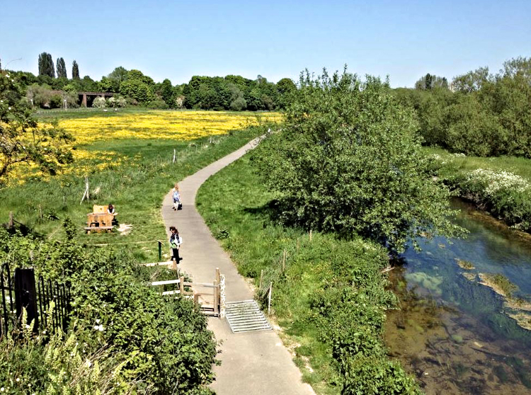 Great Stour near Chartham