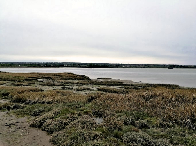 Looking across the Medway at Horrid Hill