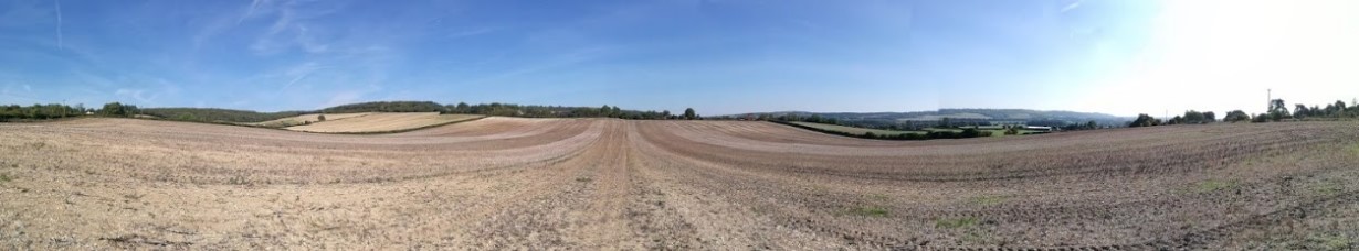 Heading over the North Down’s Way near Wye