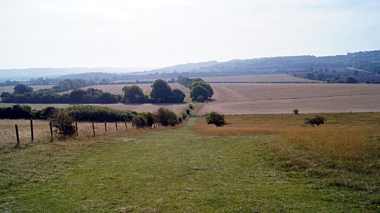 View to Steps Hill from Gallows Hill