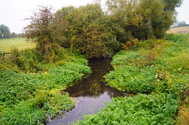 Beck near East Kennett