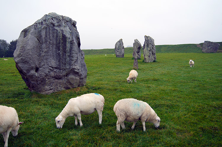 Sheep graze beside ancient stones