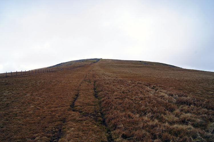 The grassy slope to Foel-fras