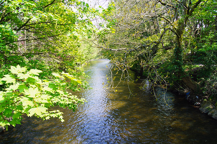 Rhymney River seen from the bridge in Machen
