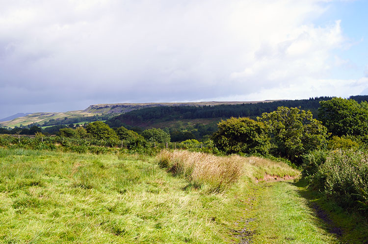 Up in clear air near Gwaun Bryn-bwch