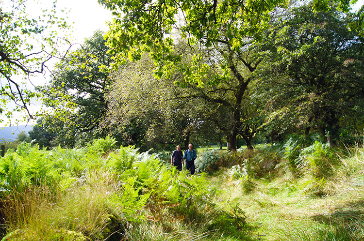 Following the trail down to Cwm Porth