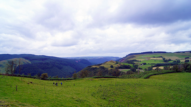 Countryside near Pengrogwynion