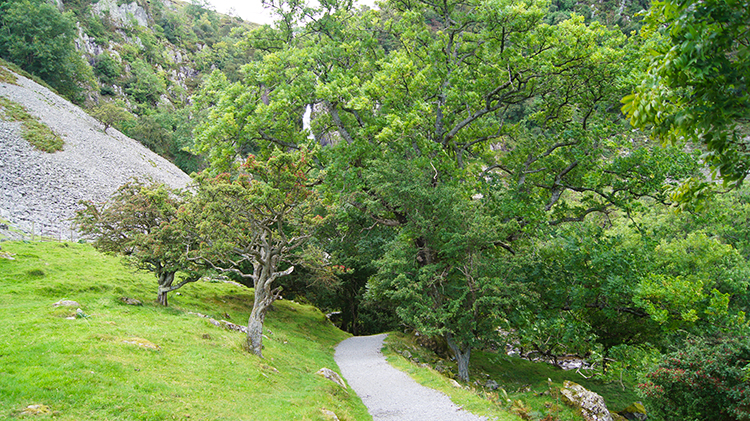 Path leading to Aber Falls