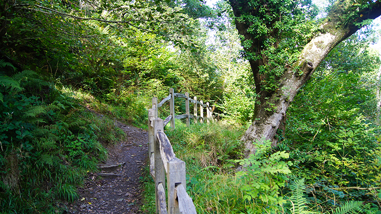 Path leading back to Bont Newydd