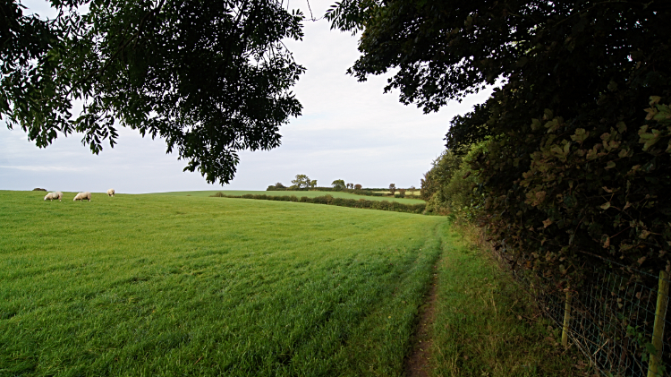 Countryside path back to Moelfre