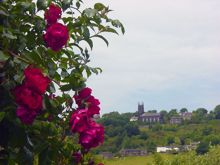 Looking across to Millwood from the Rochdale Canal
