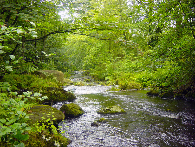 Hebden Water is a prominent feature of the walk