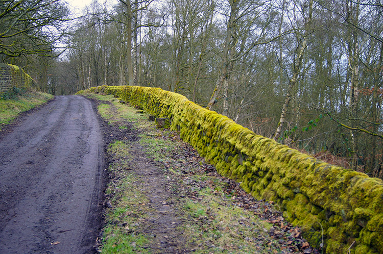 Climbing from Bingley to high ground on Altar Lane