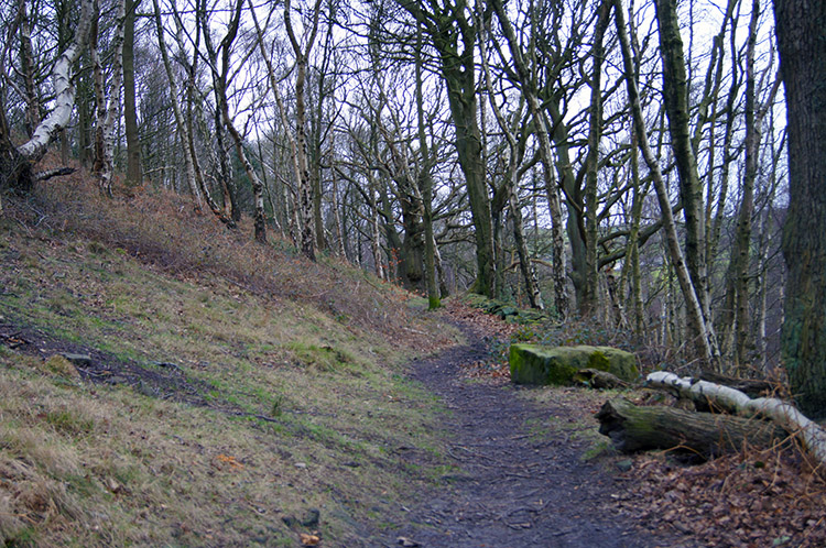 Crag Wood near Harden