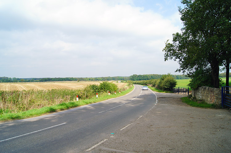 Bramham Road