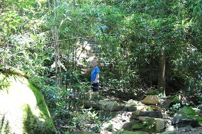 The initial climb is steep, through typical Chinese foliage